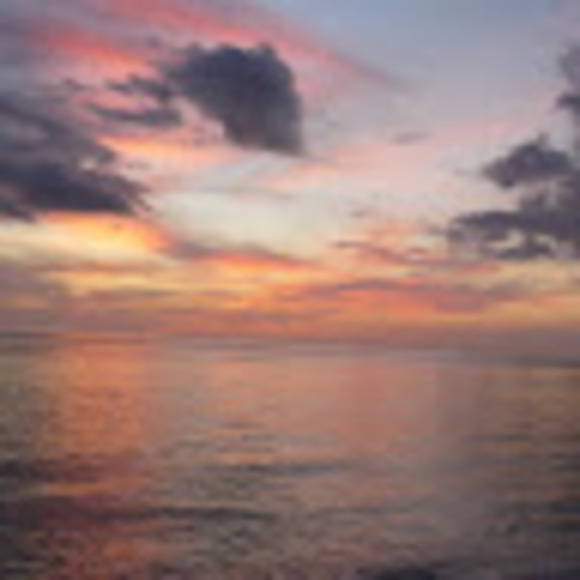 Meet your Posher, Chris - Picture 1 of 1